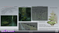 baldi-konijn-wayfinder-artposttemplate-gorge06