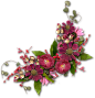 PNG 边角花
