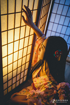 呆兔纸采集到美 插/光