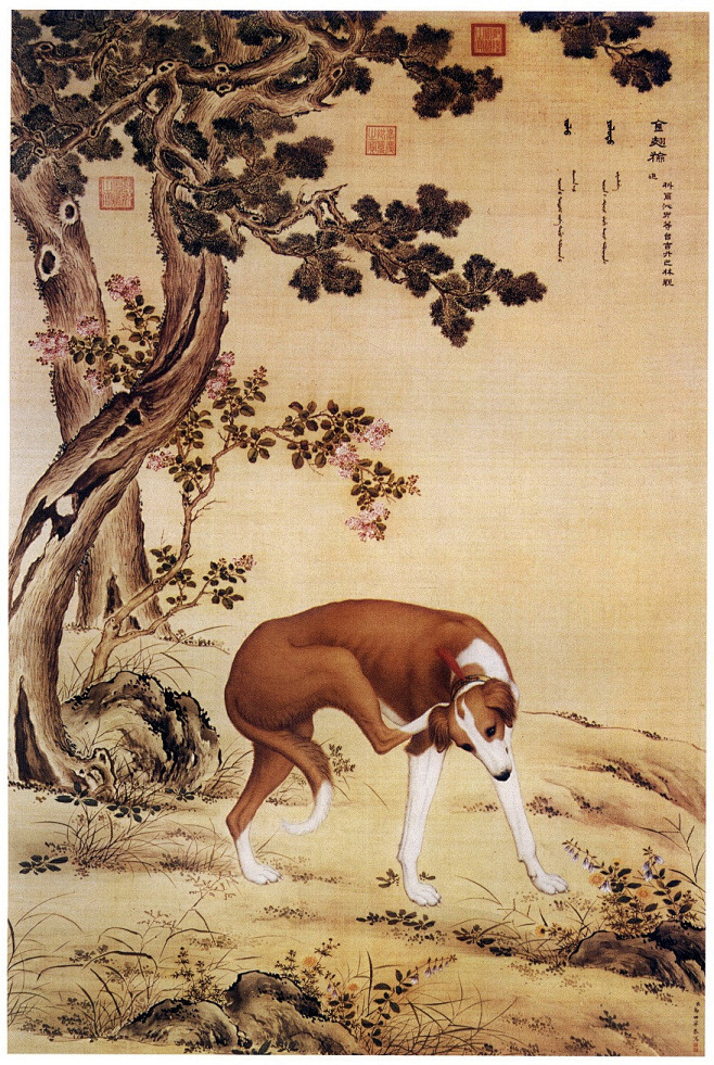 郎世宁 十骏犬图之四 金翅猃