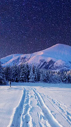 唯美星空夜景高清手机壁纸