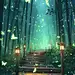 采集图片