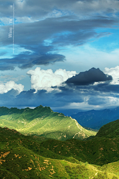 不殺魚采集到场景