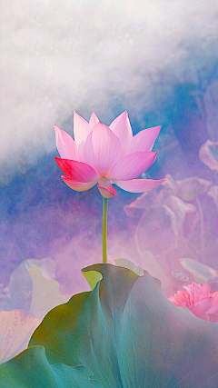 容落月采集到花之恋