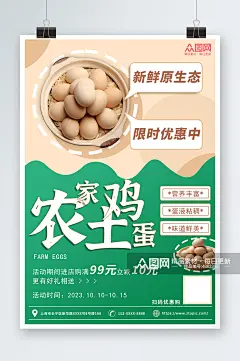 绿色优惠活动促销农家土鸡蛋宣传海报素材