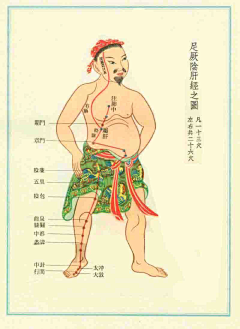 奥德煜广告采集到穴位