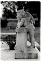 cherub angel. | Angels
