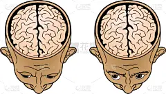人的头部,矢量,绘画插图,男人,开着的,透过窗户往外看,在上面,脑部,平衡折角灯,背景分离