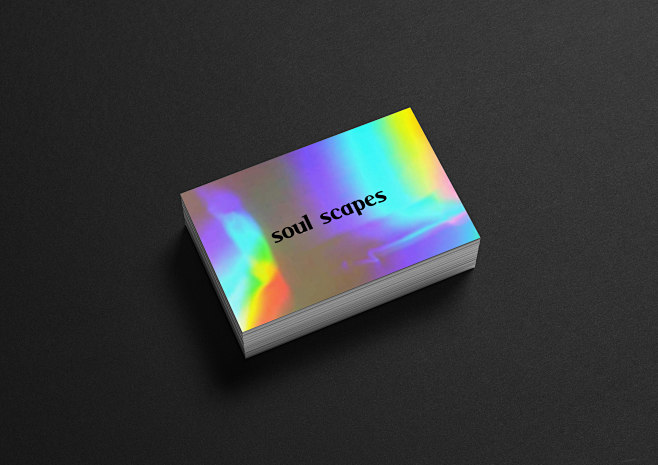 14:04:05soul scapes / branding on behancelogo 名片 卡片shines