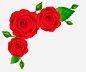 手绘玫瑰花花边高清素材 玫瑰花 红色 花卉 花朵 边框 免抠png 设计图片 免费下载