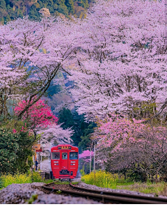 清翎er采集到火车