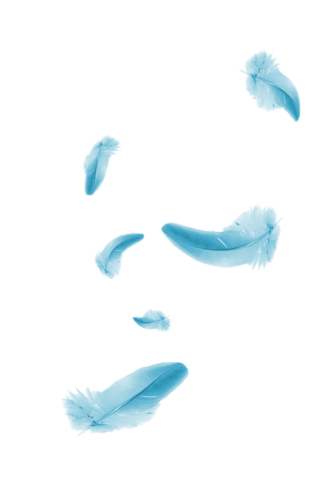 漂浮物