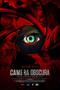 Extra Large Movie Poster Image for Camera Obscura 