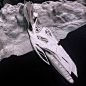 Zaha Hadid's Student Envisions an Antarctic Port For Tourism and Research,Courtesy of Sergiu-Radu Pop