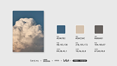*是团子呀*采集到色彩/配色/色板
