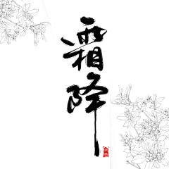 Normi采集到字体