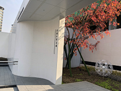 baimilier采集到10 正商·丰华上镜