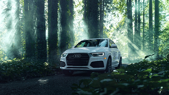 Audi Q3 in a Redwood...