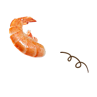 客浦官方精品-客浦旗舰店-天猫Tmall...