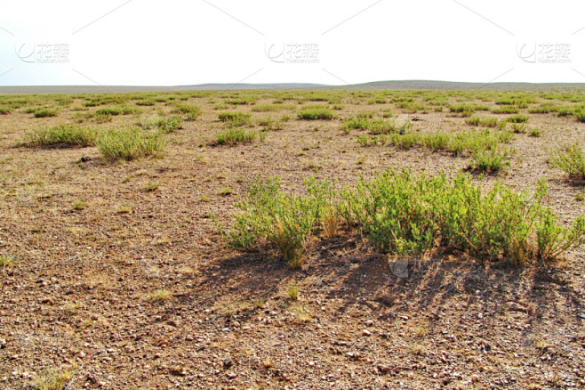 沙漠戈壁滩荒地蒙古东欧大草原美公园草原水平画幅沙子 