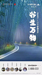 【欣赏】融信有墅平面作品合集 : 作品专题  现正接受全国优质投稿