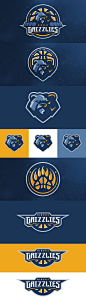 Memphis Grizzlies Concept by Matthew Doyle