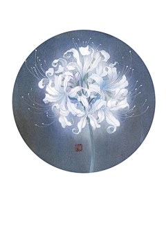 魔鬼☪彼岸星空采集到彼岸·未闻花开