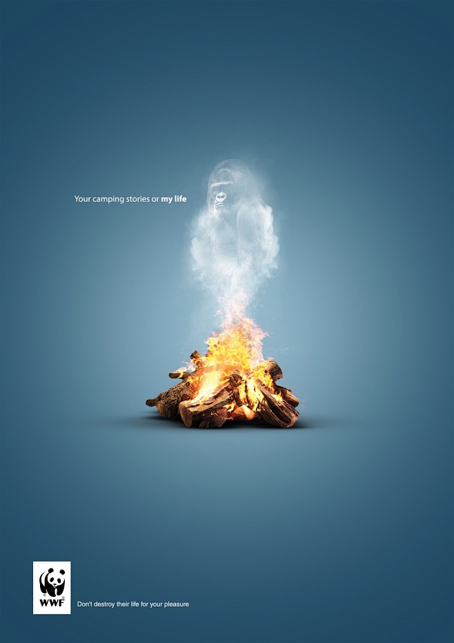 WWF Print Advert By ...