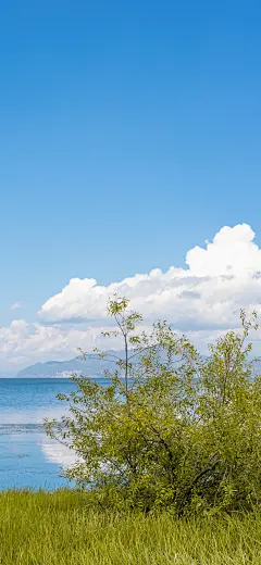 自然风景 手机壁纸_怪兽壁纸_2023年12月23日_微头条-今日头条