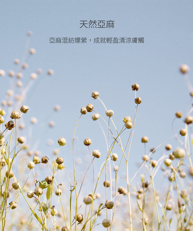 亚麻面料
