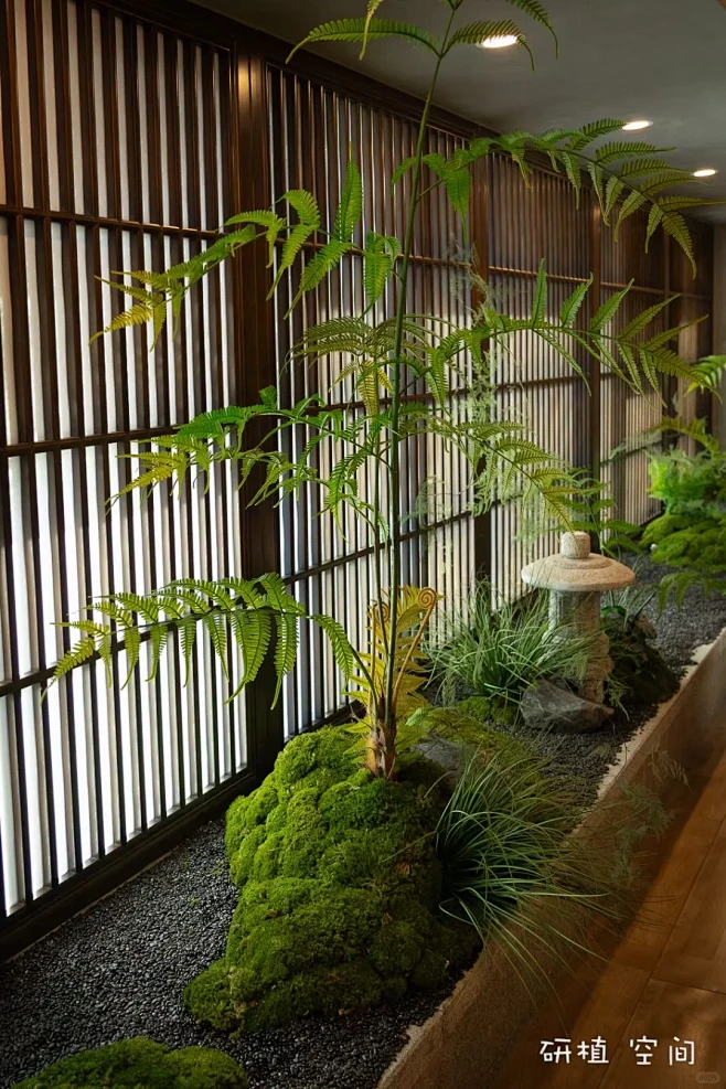 茶室室内造景 - 小红书-花瓣网
