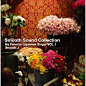 SMOOTH SOUND COLLECTION ~ MY FAVORITE JAPANESE SINGER VOL.1~ SMOOTH J专辑 SMOOTH SOUND COLLECTION ~ MY FAVORITE JAPANESE SINGER VOL.1~mp3下载 在线试听