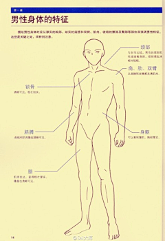 菜菜菜菜菜籽儿采集到教程