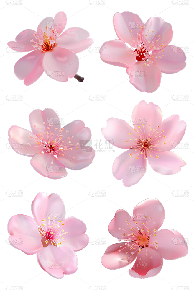 植物通用3D粉色樱花花朵元素素材