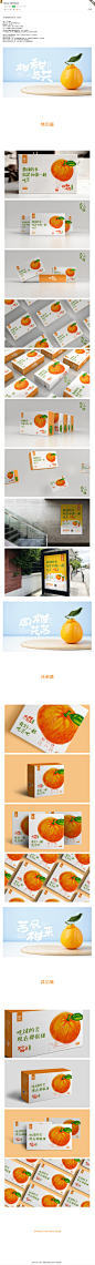 狮头柑-水果包装设计-古田路9号-品牌创意/版权保护平台
