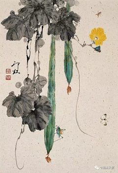 迈克张采集到珍禽图
