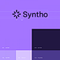 提升人工智能：Syntho 的品牌和视觉识别设计内部