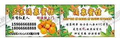 涌泉蜜桔名片正反面 【酷图网】橘子,柑橘,涌泉,蜜桔,蜜橘,橘子采摘,农家橘子,桔子,金橘,橘子海报,橘子宣传单,新鲜橘子,橘子单张,水果,橘子图片,橘子展板,橘子挂画,水果店橘子,橘子展架,橘子名片,涌泉蜜桔名片