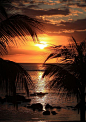Le Victoria Sunset - Mauritius: 