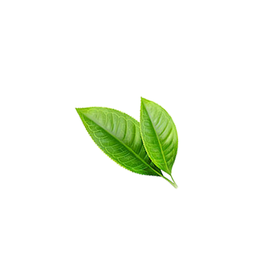 透明草