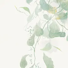 绿萝 | 听天下雨的鱼 - 原创作品 - 涂鸦王国插画