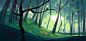 Forest Backgrounds : Backgrounds concepts around the forest theme...