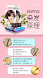 09染发原理 排版设计 微商海报 BKB 板式设计 文字排版 色彩搭配