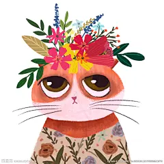 清新萌宠橘猫手绘插画猫猫