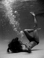 free. #underwater | Another life below