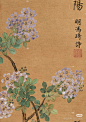紫薇花   清 蒋廷锡 花鸟写生·台北故宫博物院收藏飞画中描绘盛开的紫薇花及菊花，白头翁鸟在树稍仰头鸣叫。树下有湖石衬托，暗示此景为人工建造的花园。

