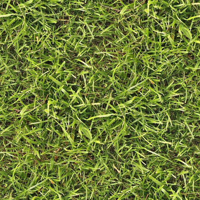 Seamless grass textu...