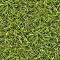 Seamless grass texture by hhh316