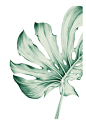 d6b2973717262ce36c2600373603a392.png (707×1000)