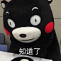 #熊本熊表情包# #熊本熊# #表情包# #表情排行榜#